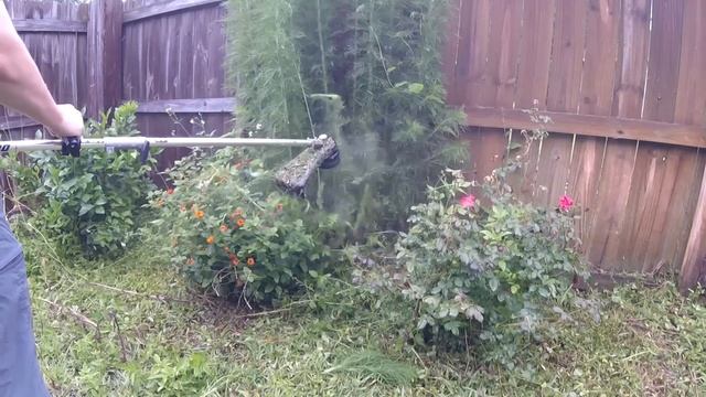 Torture Testing ECHO Battery String Trimmer In Tall Weeds & Grass (Real Time, Raw Audio) смотреть онлайн