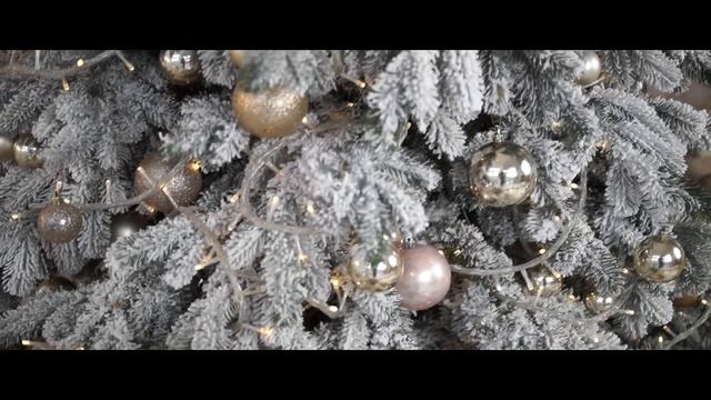 Обзор SIRUI 35mm F1.8 Anamorphic 1.33X для APS-C Sony E, Nikon Z, Canon EF-M и MFT смотреть онлайн