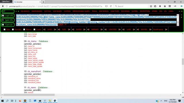 SQL Injection Tutorial - Part 5 (For Absolute Beginners) смотреть онлайн