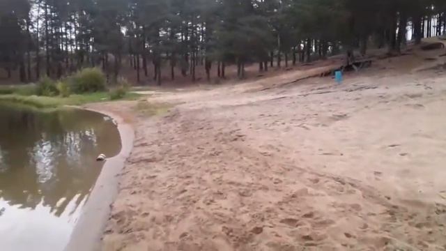 КОП ,, ЛОДЕЙНОЕ ПОЛЕ" смотреть онлайн