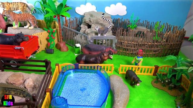 Zoo Animals Tiger Hippo Crocodile Gaur Muskox Yak Bison Armadillo Antelopes Tahr Ibex Turtle смотреть онлайн