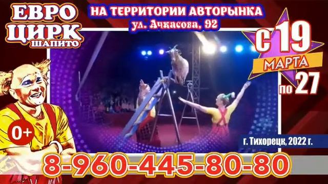 В Тихорецк едет цирк шапито «EUROCIRCUS» смотреть онлайн