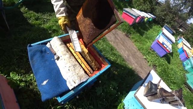 ОШИБКИ ПЧЕЛОВОДА НА ПАСЕКЕ РАННЕЙ ВЕСНОЙ, ПОМОЩЬ ПЧЁЛАМ, ВСЁ СДЕЛАТЬ ВО ВРЕМЯ смотреть онлайн