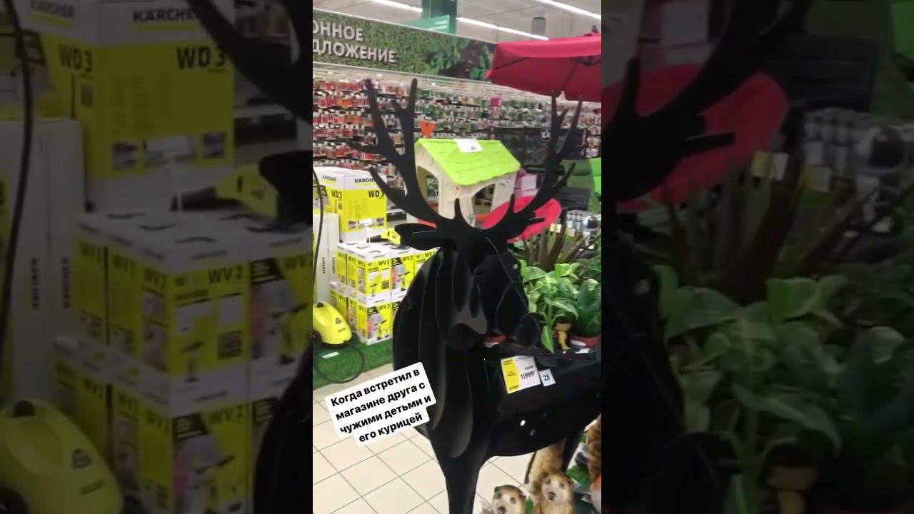 #олень #приколы #смешноевидео смотреть онлайн