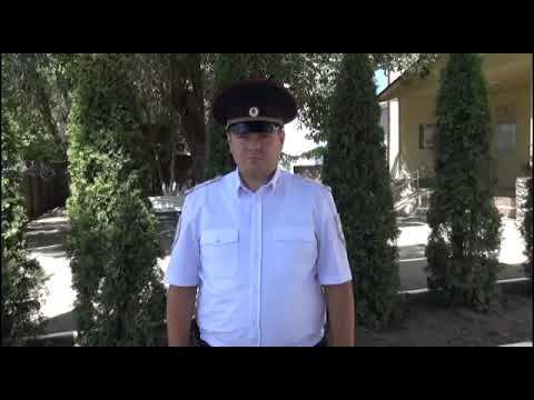 Помни, водитель, - ты тоже родитель! смотреть онлайн