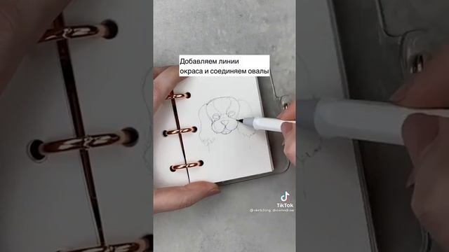как нарисовать собаку? смотреть онлайн