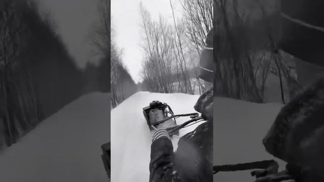 Мотособака барбосик смотреть онлайн