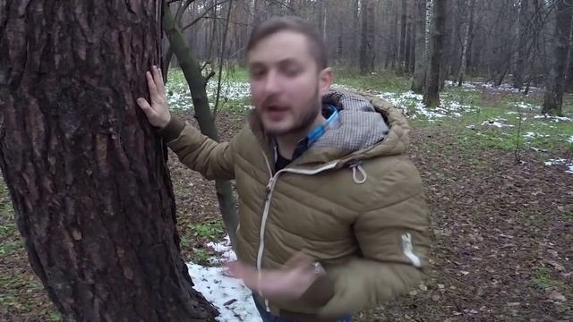 ВЫЖИВАНИЕ С БРО: ОСЕННИЙ ЛЕС смотреть онлайн