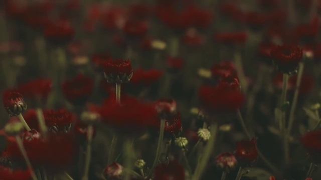 Сделай Это Сам