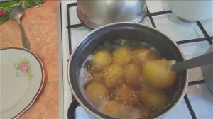 Картофель сорта Гала, мой опыт выращивания