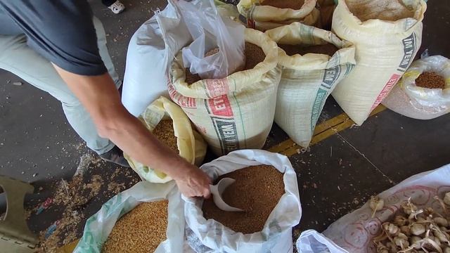 ЦЫПА ХОЧЕТ КУШАТЬ! ЕДУ НА БАЗАР ЗА ЗЕРНОМ и яйцами. Там же секонд хенд рынок в Анталии. #влог смотреть онлайн