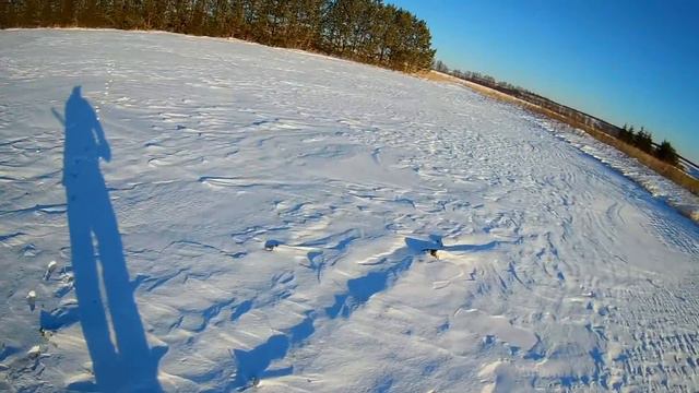 Охота на зайца с гончими. смотреть онлайн