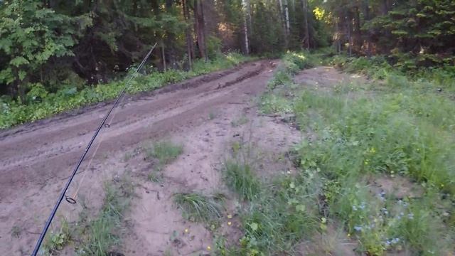 Хариус таежной реки смотреть онлайн