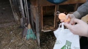 МОЛОЧНАЯ КИСЛОТА ДЛЯ КРОЛИКОВ