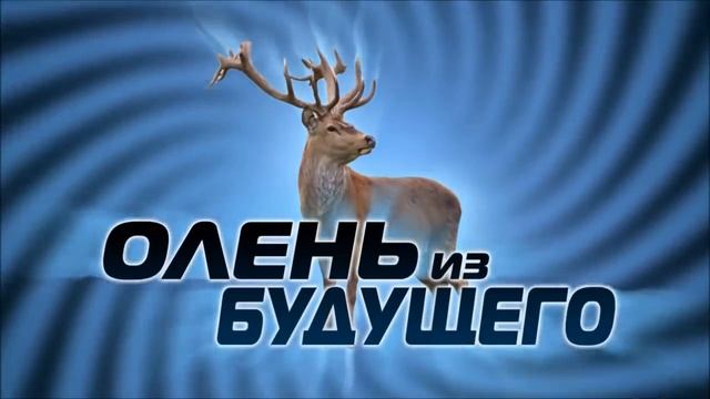 Олень из будущего! смотреть онлайн