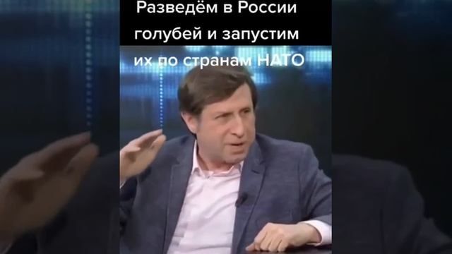 Русские голуби ИМБА !!!