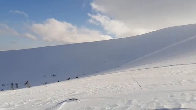 Ski-doo Skandik SPORT 600 EFI 2022 смотреть онлайн