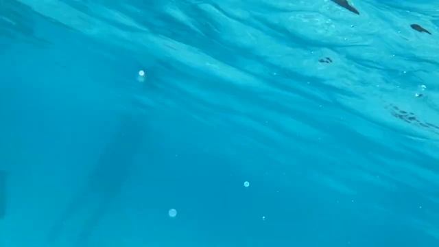 iPhone 11 Pro VS Вода. Water test смотреть онлайн