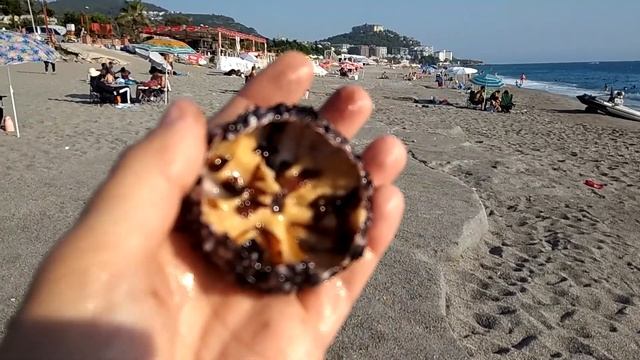 Морской еж Дегустация икры. Морской еж блюдо. Морской еж деликатес. Как поймать морского ежа.