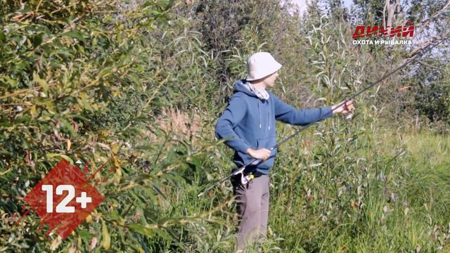 Карась в заброшенном рыбхозе. Моя рыбалка. смотреть онлайн