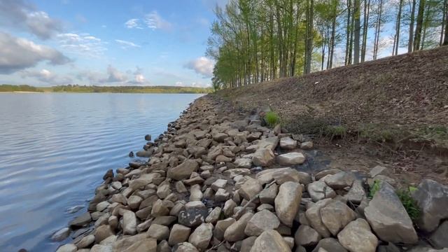 Walking by the lake, Shelby Meeman Forest state park, Millington, TN смотреть онлайн