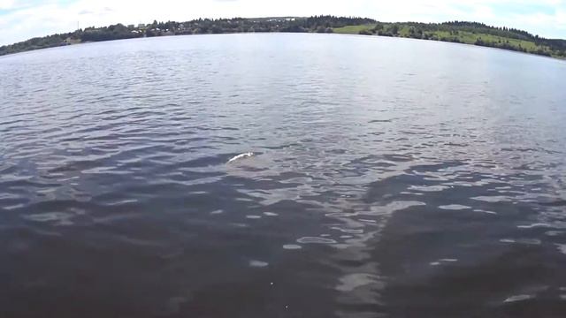 В реке Кама травят рыбу! смотреть онлайн
