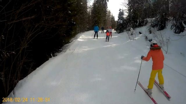 Skoda Forum winter meeting-Cherna s peshehodci смотреть онлайн