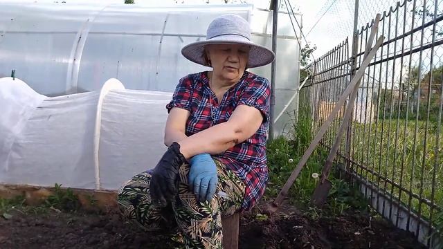 Посадка лука порея-голиаф смотреть онлайн