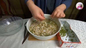 САЛАТ ИЗ ПРОРОСШИХ БОБОВ МАША по–Корейски! Как Прорастить Маш. КОРЕЙСКАЯ КУХНЯ Проще простого! #23
