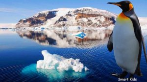 Животные для детей часть 3 | Учим названия и звуки диких животных для детей