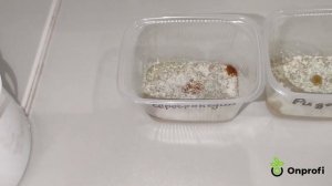 Эффективность коллоидного серебра и меди. Проверяем препараты Зерокс, Ридомил Р, Серебромедин.