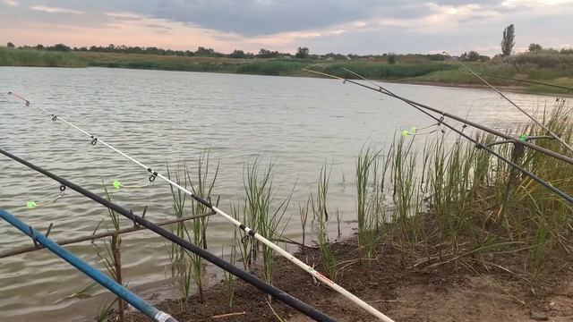 Рыбалка с Ночевкой на Макушатник .Ловля Карася и Карпа на Макуху Лето 2020 смотреть онлайн