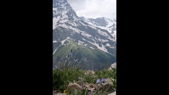 2021 Кавказ 8 Домбай канатка смотреть онлайн