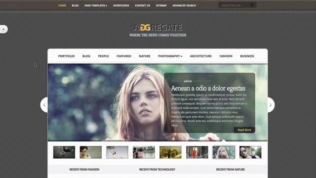 Aggregate WordPress Theme Review by Elegant Themes Reviews смотреть онлайн