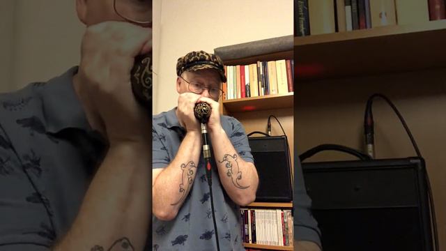 No Good Man Blues - Harmonica Hawk смотреть онлайн