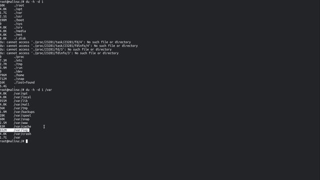 Solving Disk Usage Issue on Linux Server смотреть онлайн