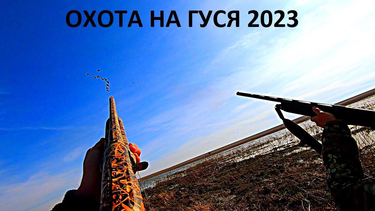 НАШЛИ ТЫСЯЧИ ГУСЕЙ НА ПОЛЕ!!! СУПЕР ОТКРЫТИЕ ОХОТЫ НА ГУСЯ. ТАКИХ НАЛЕТОВ ЕЩЕ НЕ БЫЛО / MAX HUNTER смотреть онлайн