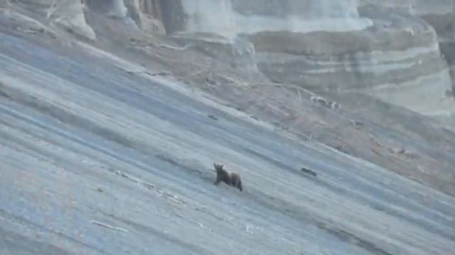 пеший поход на Камчатский мыс. Hiking on the Kamchatka Cape смотреть онлайн