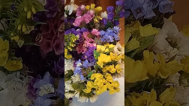 Сухоцвіт Лимоніум (кермек) смотреть онлайн