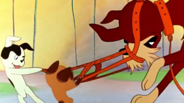 Котенок по имени гав