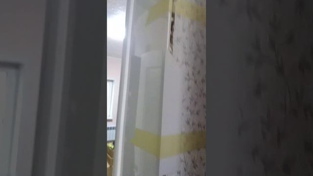 Дверные доборы. Привезли монтажную пену. Продолжаем монтаж пластиковых откосов.