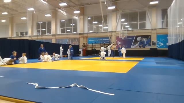 тренировка младшей группы по дзюдо 28.11.23 18-30 смотреть онлайн