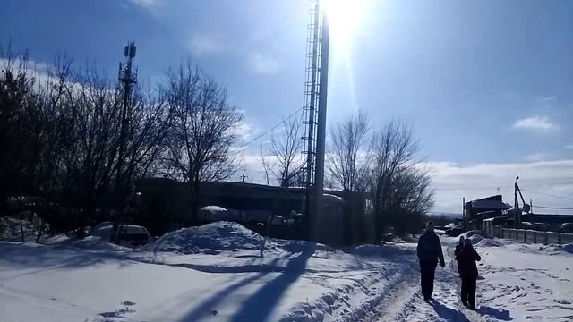 Как бесплатно и безопасно погулять с собакой в Южном городе - 4 смотреть онлайн