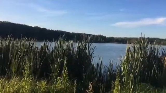 Опасная свалка под Рязанью смотреть онлайн