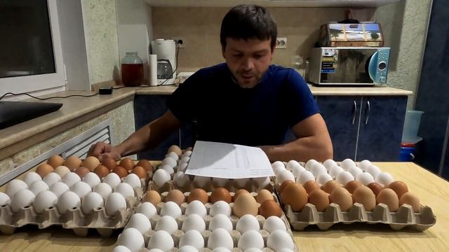 Бизнес на куриных яйцах. Жизнь в деревне.