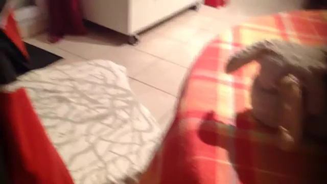 "LPS MV Scary Monsters & Nice Sprites" Vidéo Fan смотреть онлайн