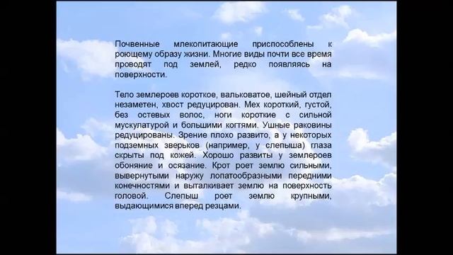 Экологические группы млекопитающих. Биология 7 класс. смотреть онлайн