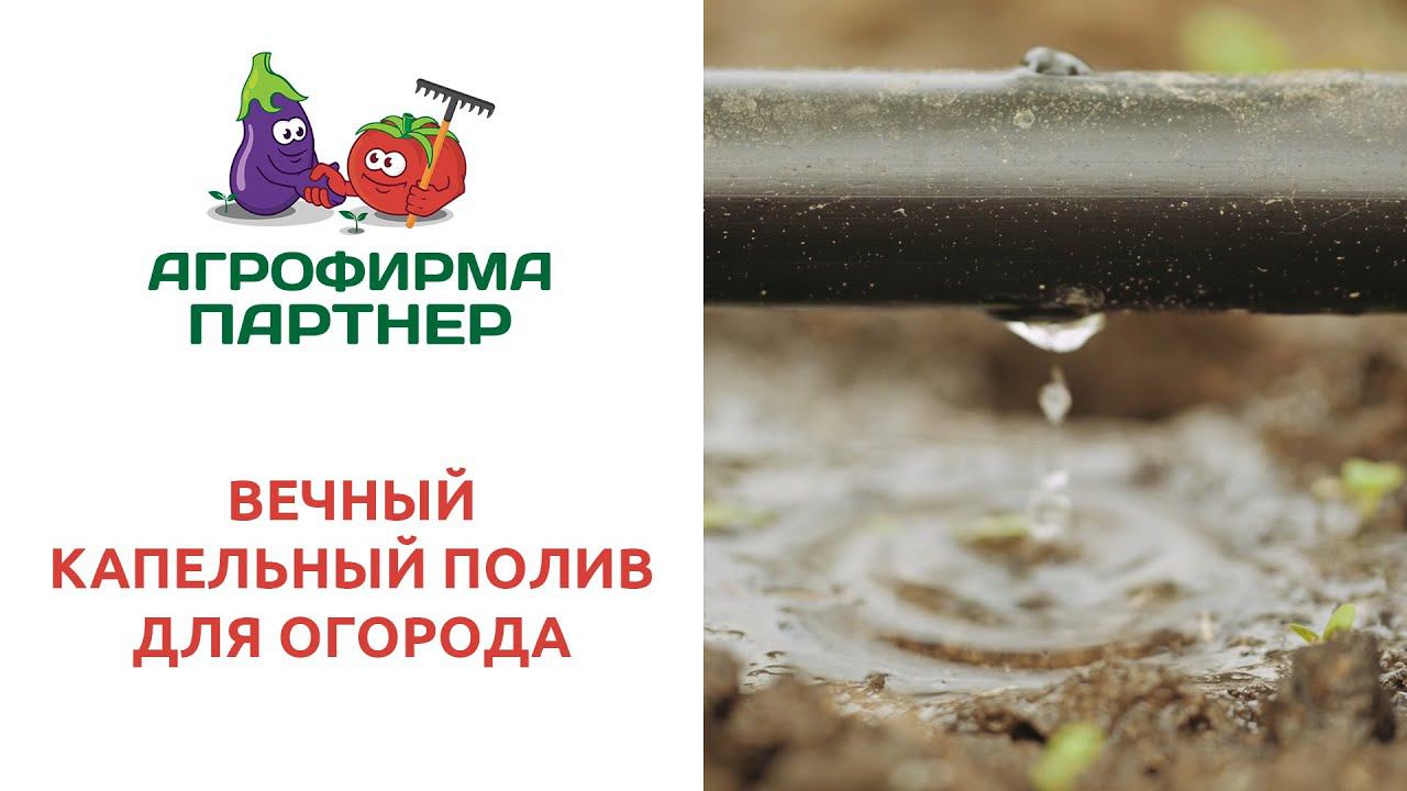 ВЕЧНЫЙ КАПЕЛЬНЫЙ ПОЛИВ ДЛЯ ОГОРОДА смотреть онлайн