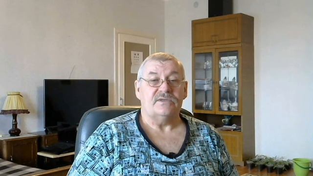 Хочешь - верь, хочешь - не верь! Часть 27. Березовый сок, загадки леса. смотреть онлайн