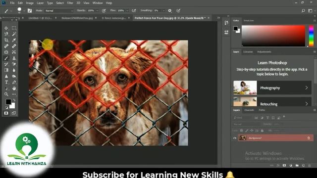 Perfectly Remove Fence from Dog in photoshop || Tutorial #13 смотреть онлайн
